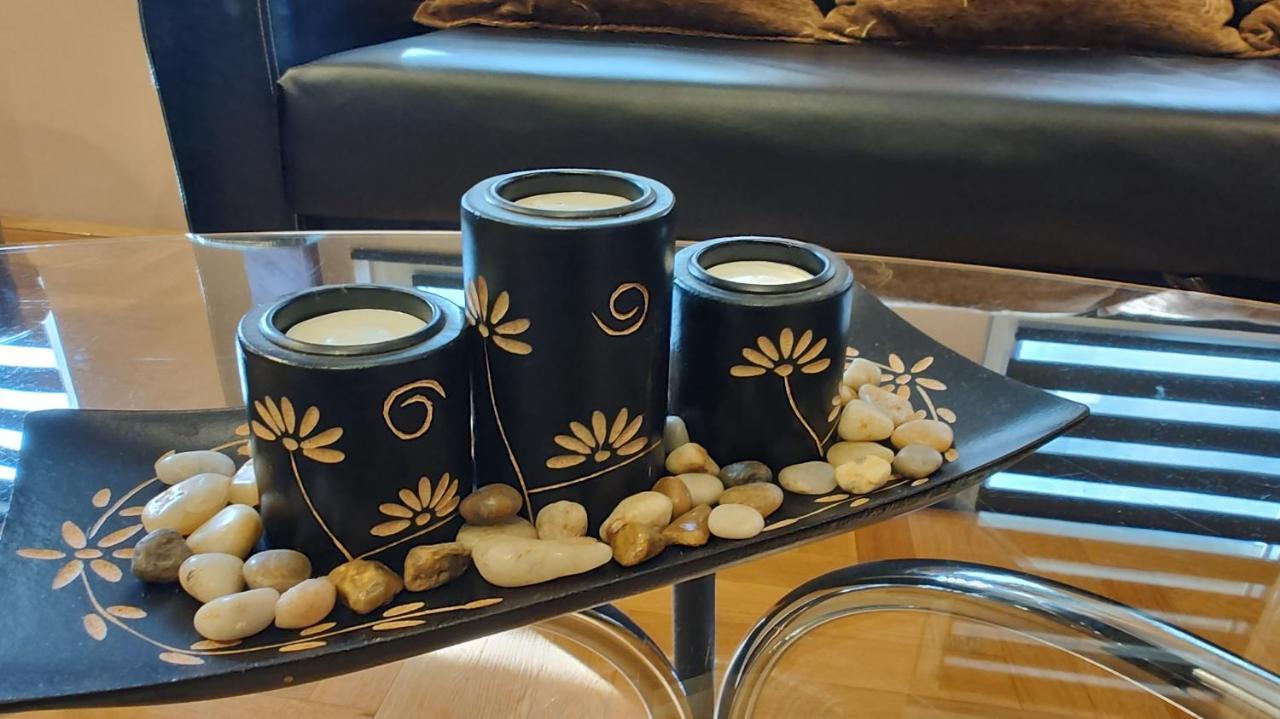 Apartment Stefana 贝尔格莱德 外观 照片